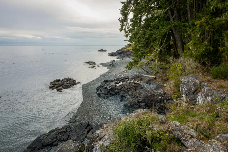 Photograph of property shoreline in Juan de Fuca Strait subject to tsunami hazard